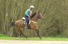 Endurance Rider Jack Begaud